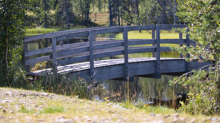 Eine kleine Holzbrücke, versteckt hinter ein paar Büschen. Symbolbild für neue Wege.