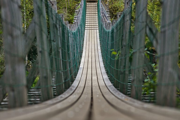 Eine Holzbrücke mit grünen Stricken rechts und links. Symbolbild für neue Wege.