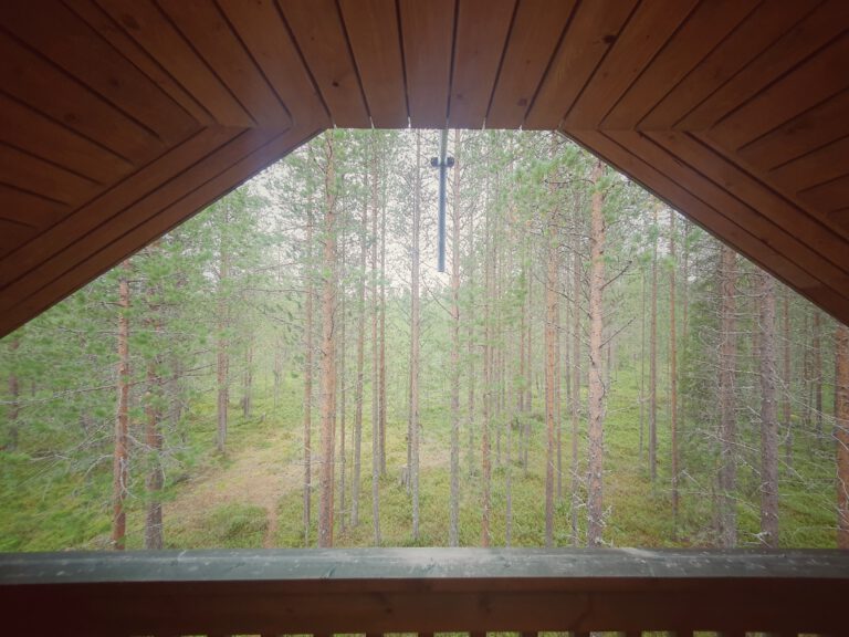 Blick von einem holzgerahmten Balkon in einen Nadelwald.